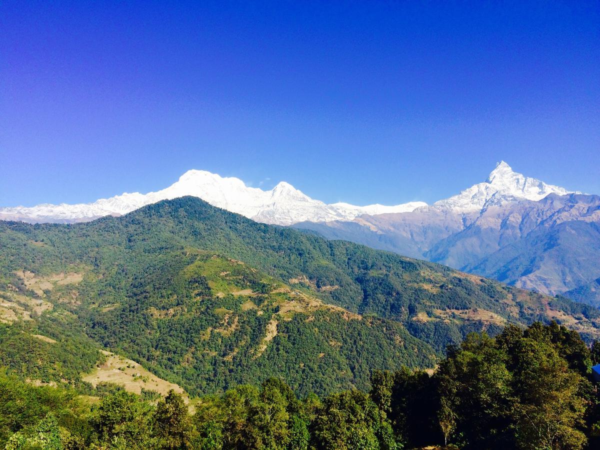 Aroma Tourist Hostel Pokhara Bagian luar foto