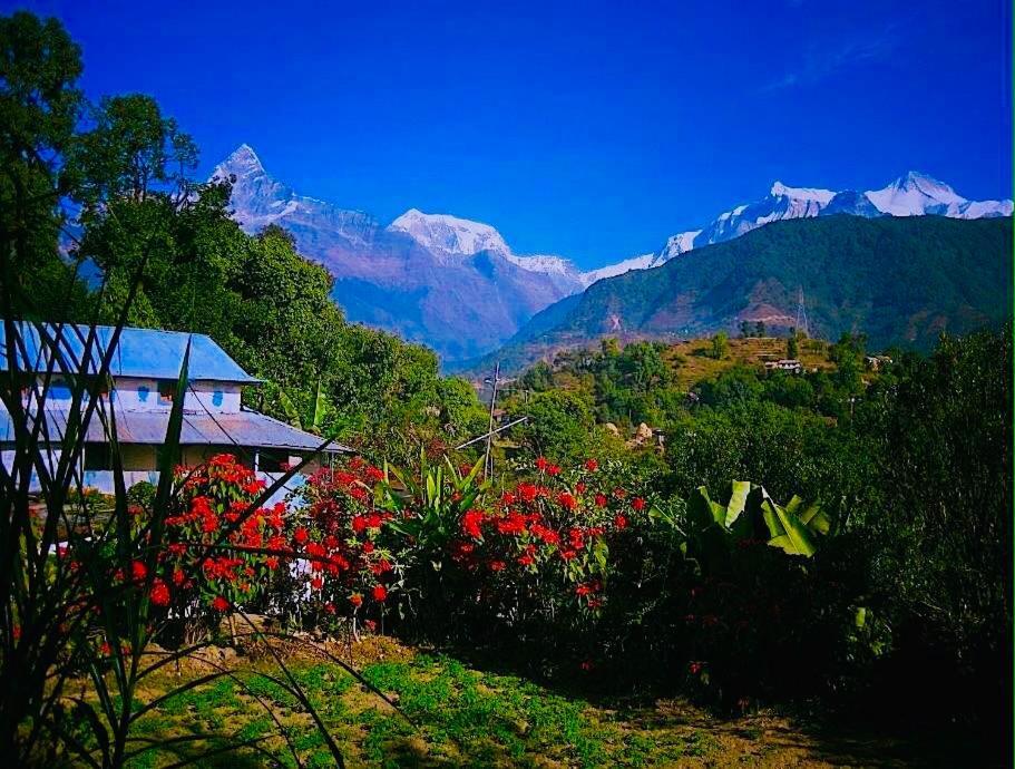 Aroma Tourist Hostel Pokhara Bagian luar foto