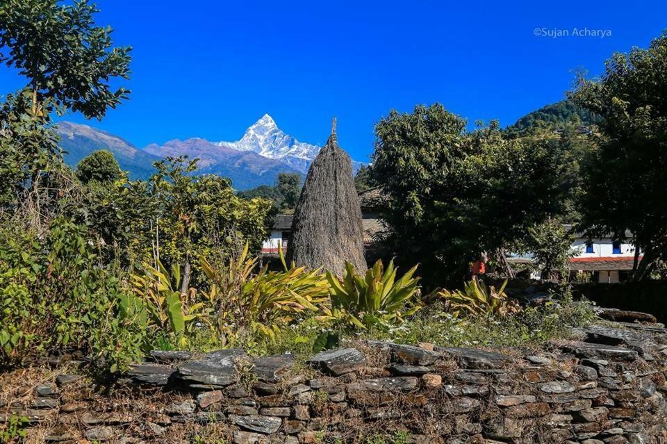 Aroma Tourist Hostel Pokhara Bagian luar foto